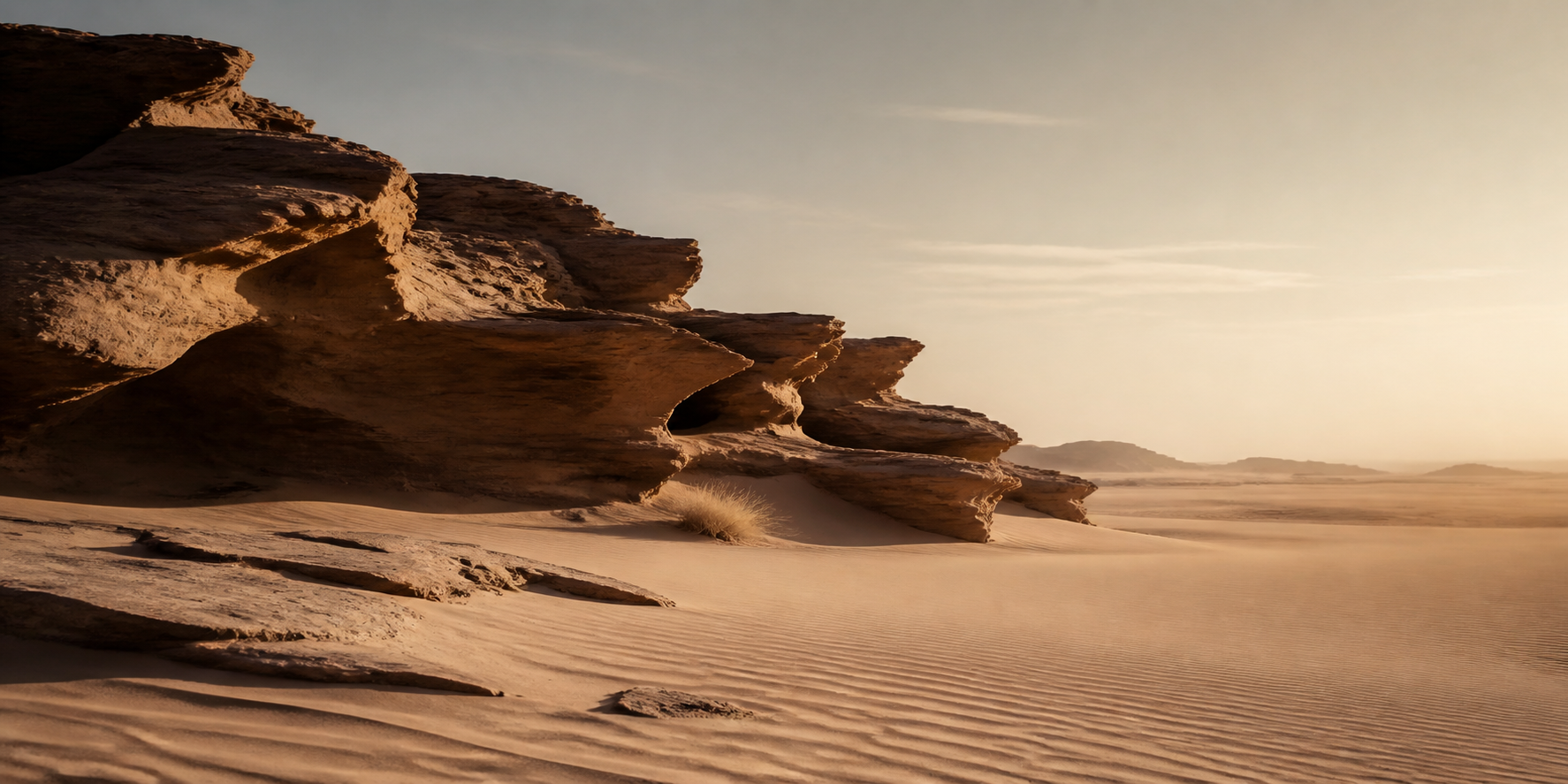 Desert biome landscape