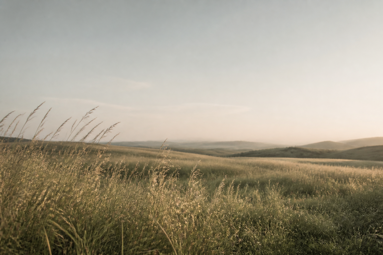 Grassland biome landscape
