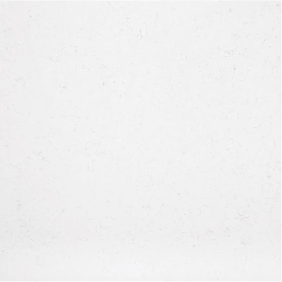 TK310-Snow Orchid, view 1