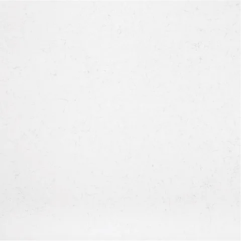 TK310-Snow Orchid