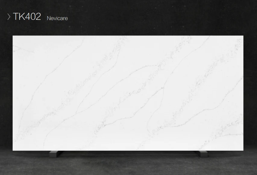 TK402-Nevicare, view 2
