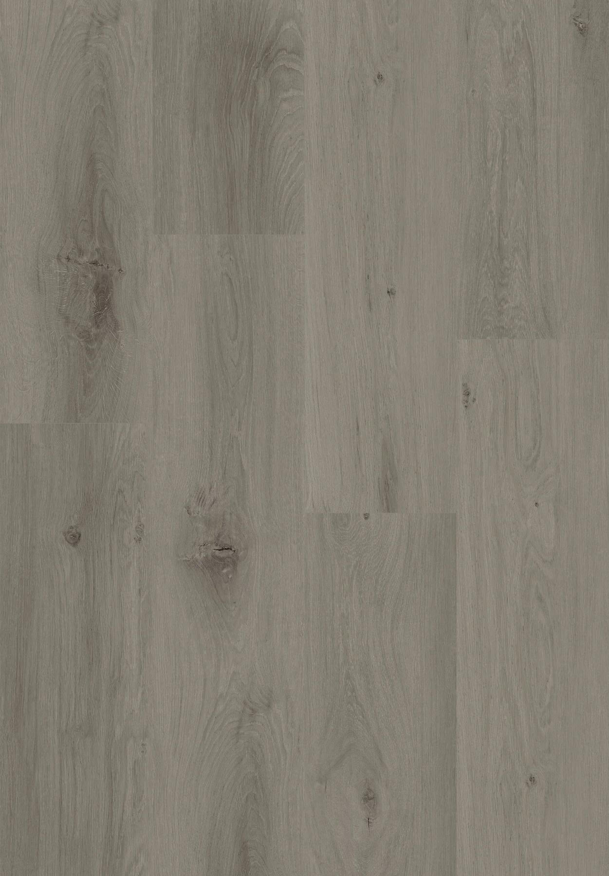 LSPC402-Pasco Oak, view 1