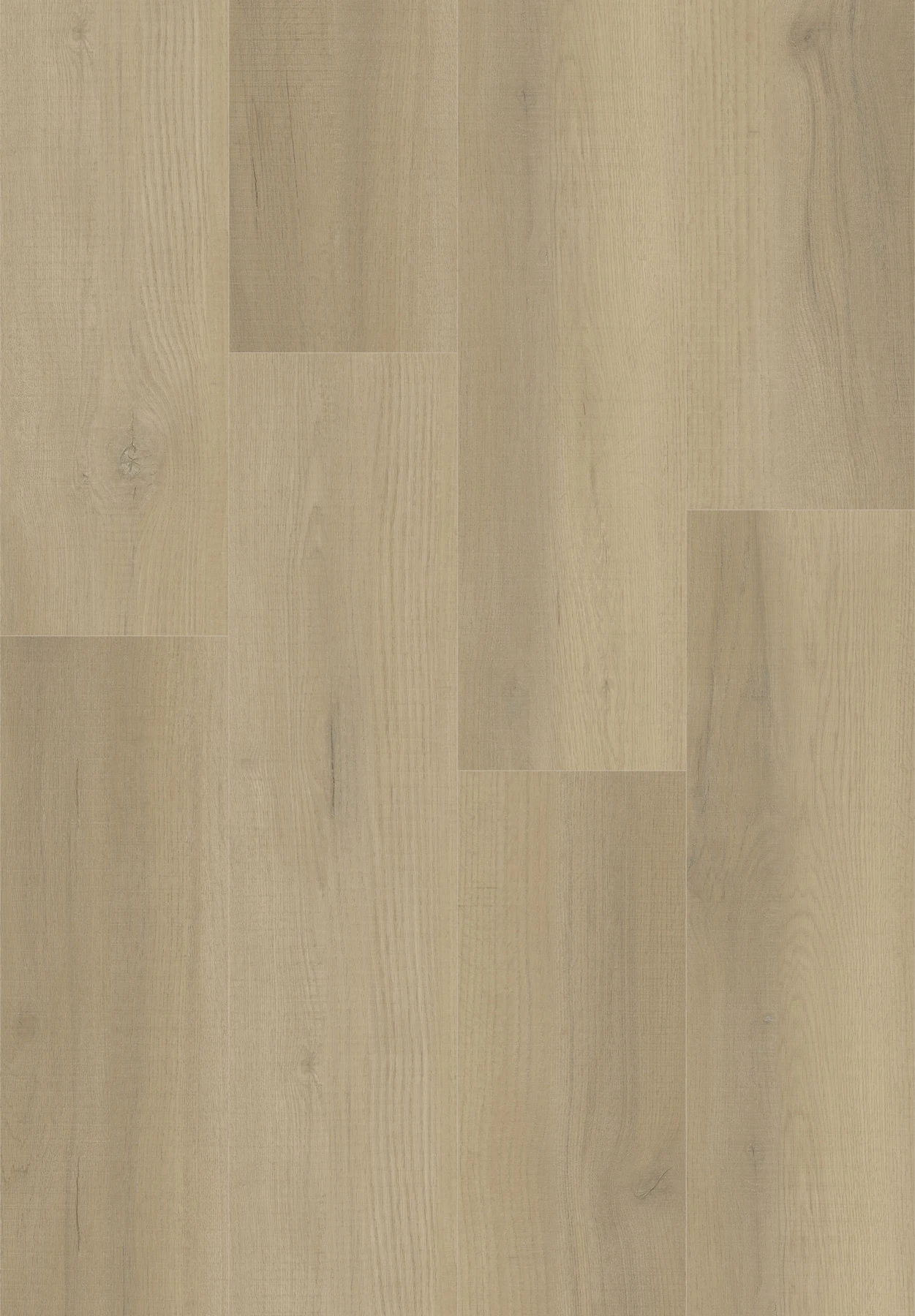 LSPC403-Midland Oak, view 1