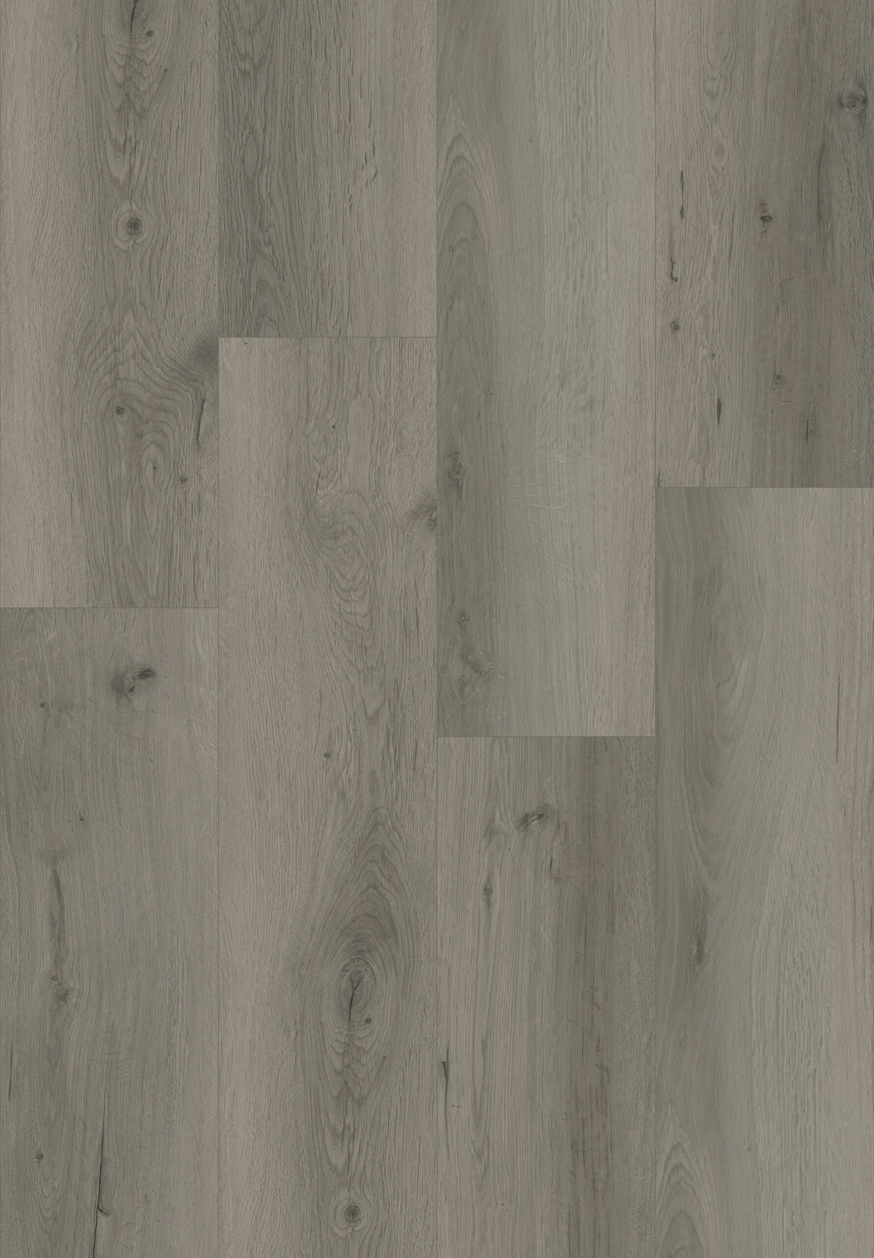 LSPC405-Sidney Oak, view 1