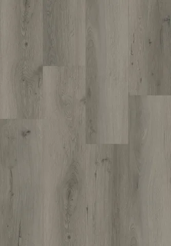 LSPC405-Sidney Oak