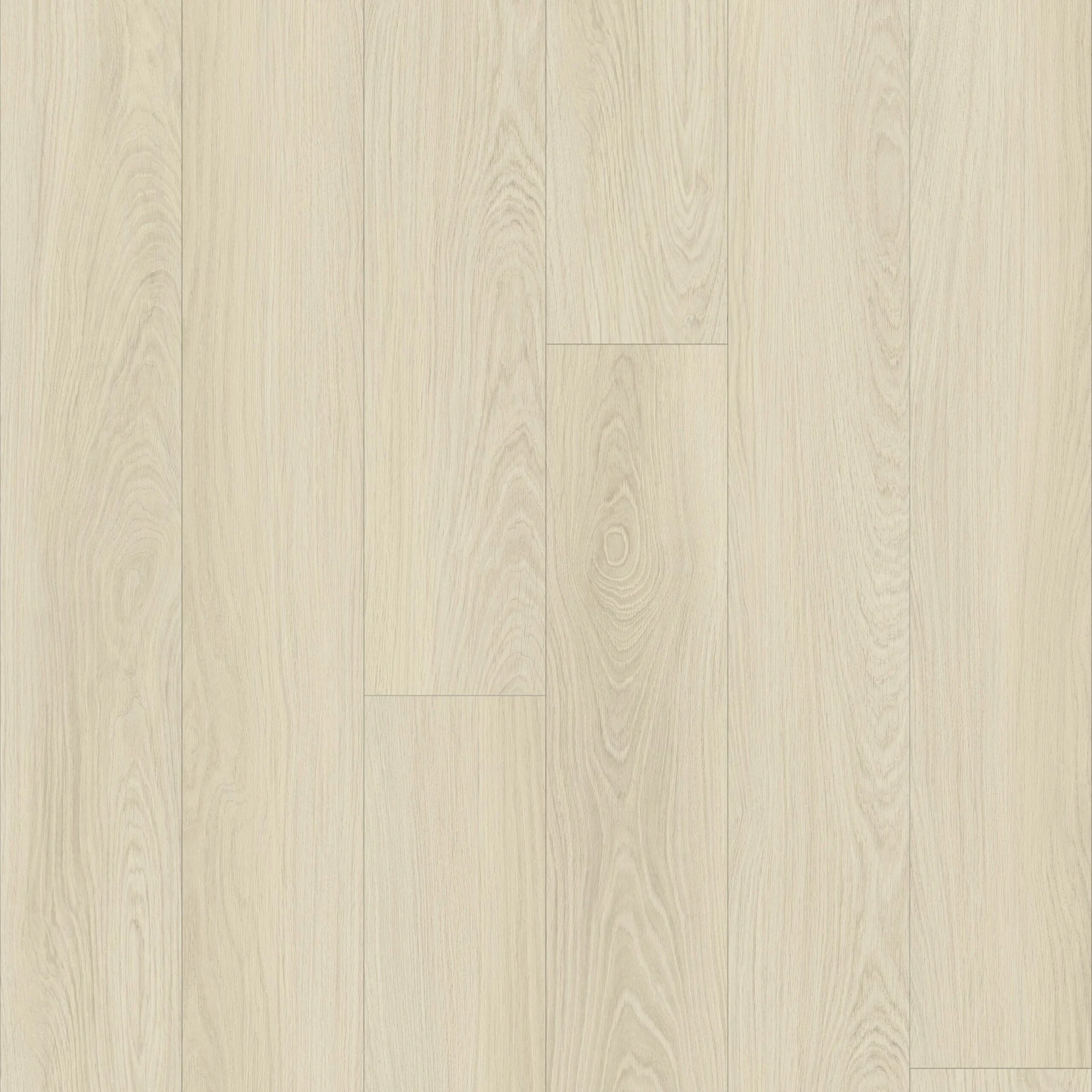 KF106-Selma Oak, view 1