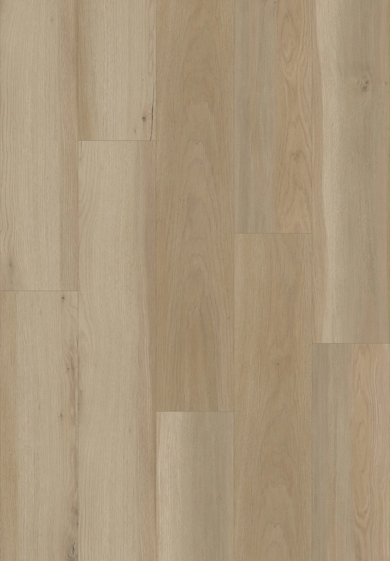 KF206-Yuma Oak, view 1