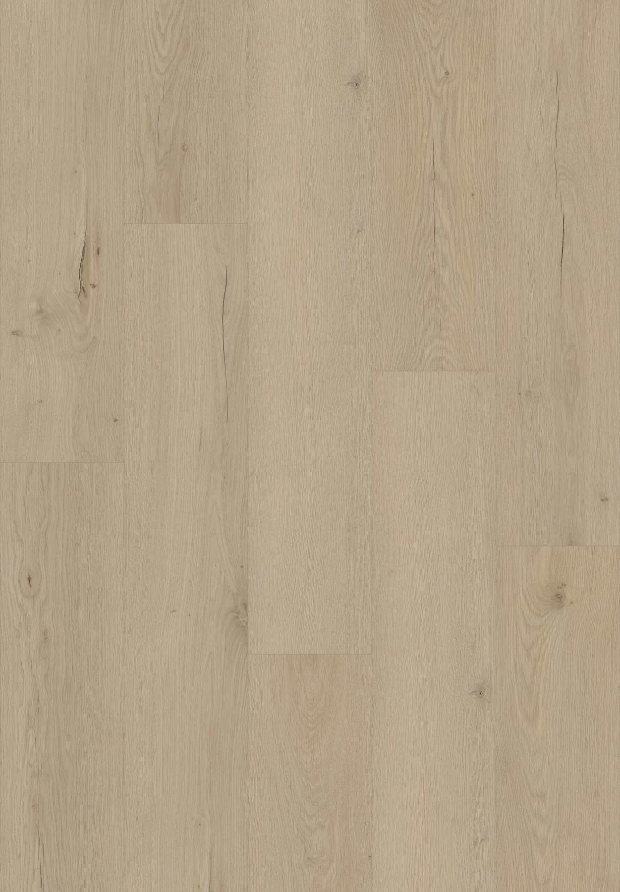 KF207-Benton Oak, view 1