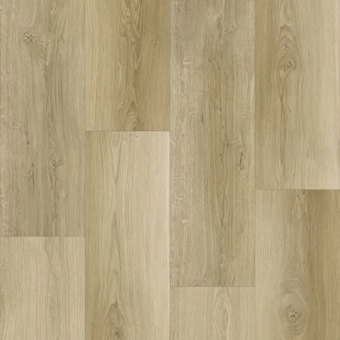 KF306-Chico Oak