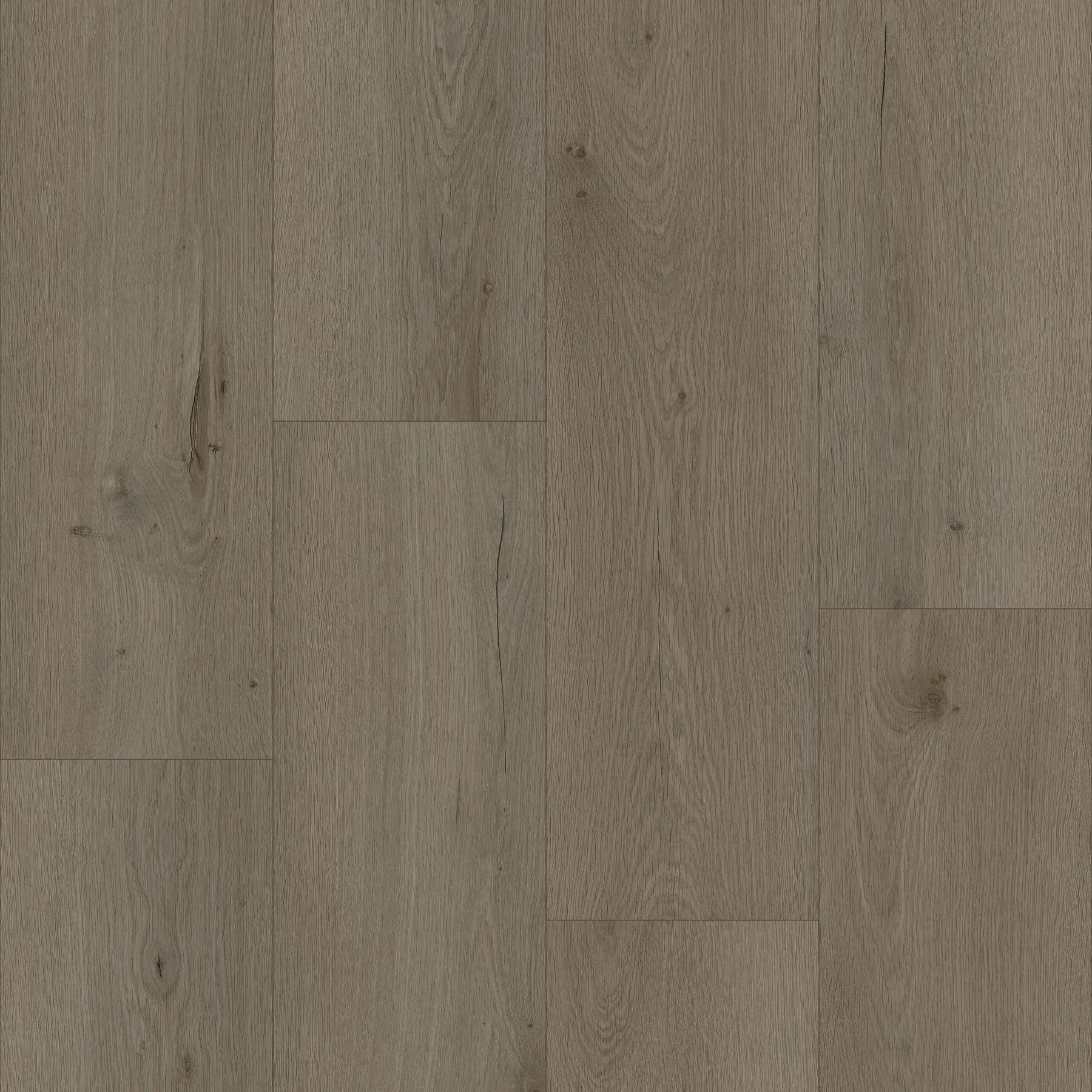 KF307-Turlock Oak, view 1