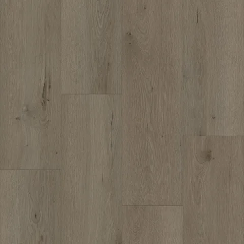 KF307-Turlock Oak