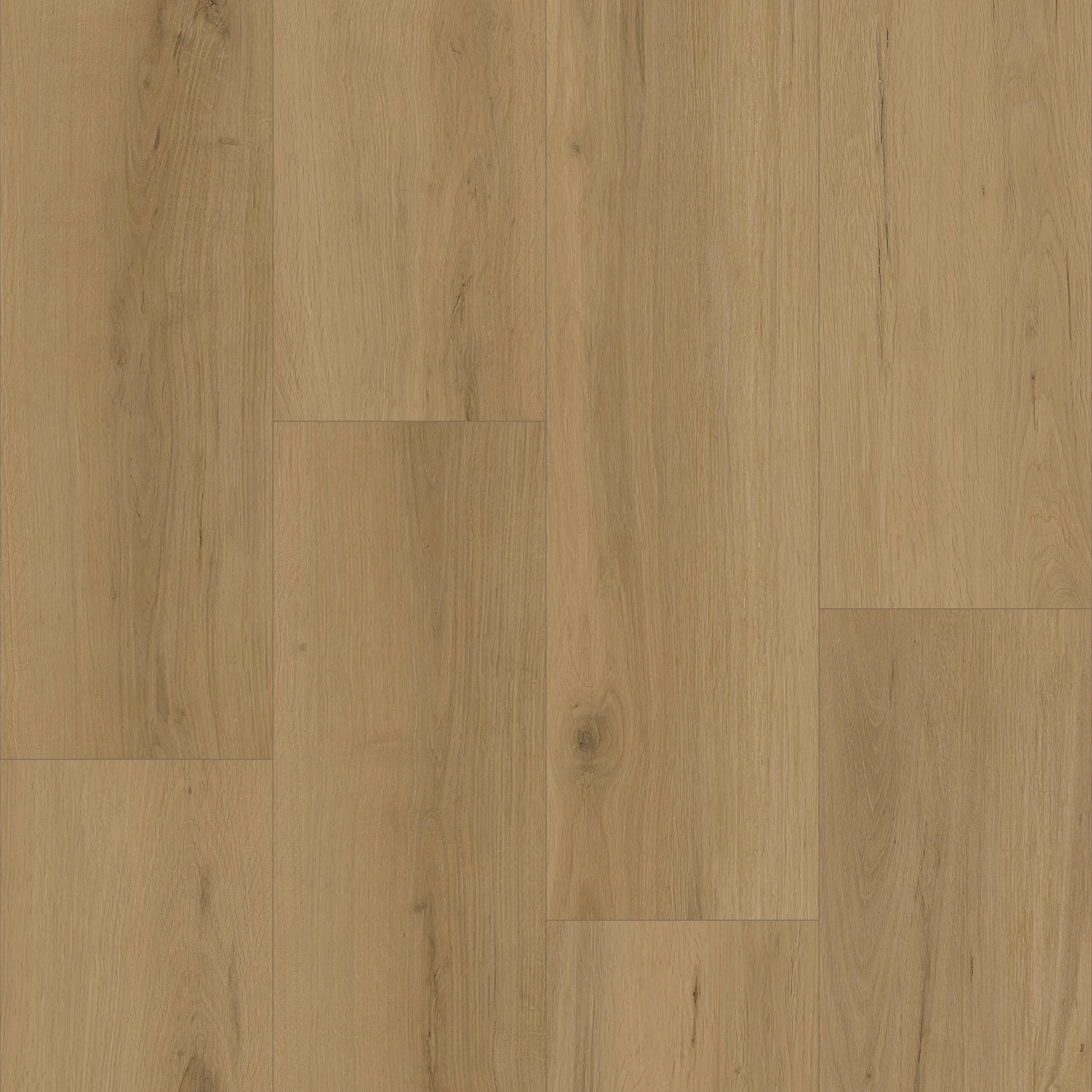 KF308-Mystic Oak, view 1