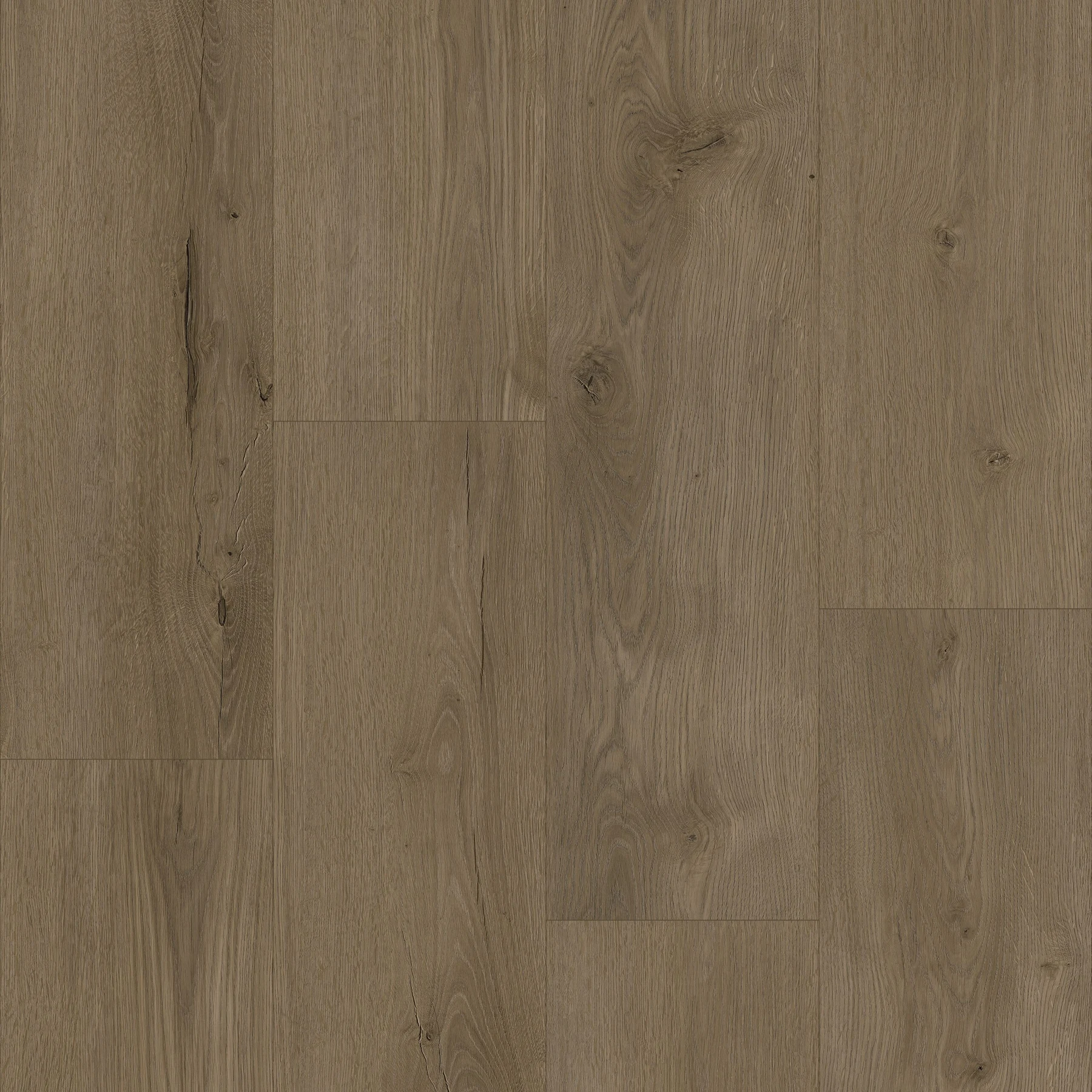 KF309-Venice Oak, view 1